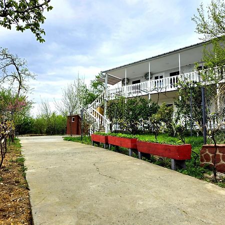Hilltop Guest House Кутаиси Экстерьер фото