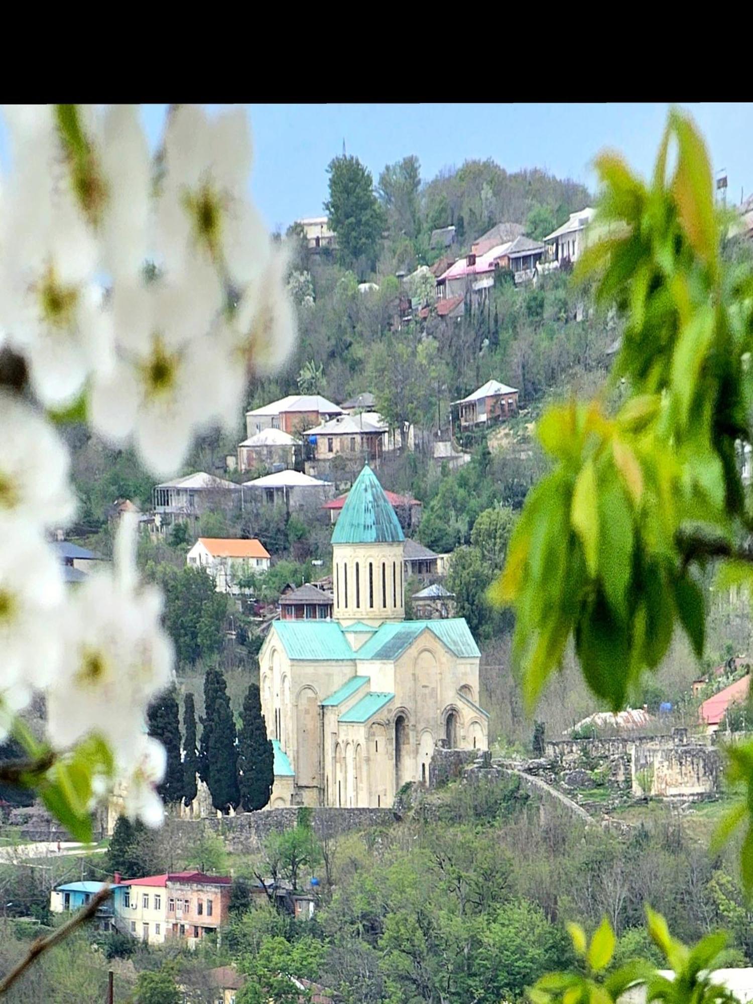 Hilltop Guest House Кутаиси Экстерьер фото