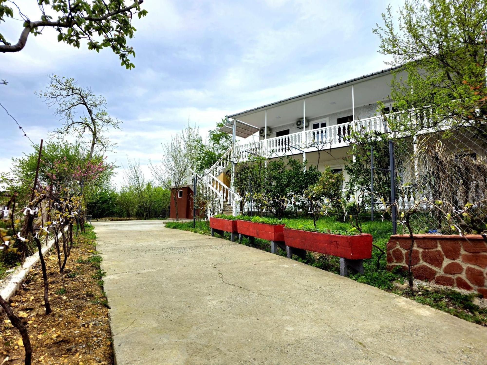 Hilltop Guest House Кутаиси Экстерьер фото